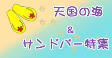 天国の海　サンドバー特集